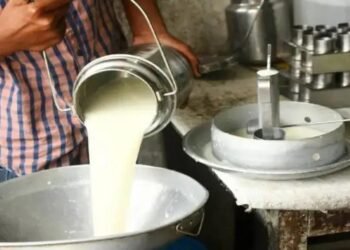 गाय के दूध में भारत बना दुनिया का सिरमौर, दूध उत्पादन में अमेरिका और चीन को छोड़ा पीछे
