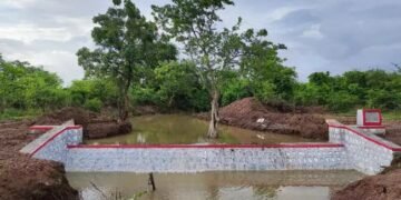 विश्व जल दिवस पर ACC की पहल, समुदायों को सशक्त बनाने के अहम प्रयास