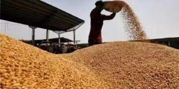 ई-नीलामी के माध्यम से 71.01 एलएमटी गेहूं और 1.62 एलएमटी चावल की बिक्री की गयी