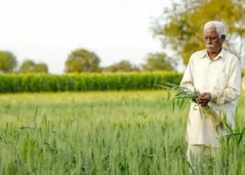 किसानों के लिए हरियाणा सरकार का बड़ा ऐलान, खाते में ट्रासंफर होंगे 87 लाख रुपये