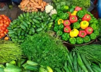IIVR वाराणसी की नई तकनीक, सब्जियों के रस से बनाए जाएंगे ‘कॉस्मेटिक प्रोडक्ट’