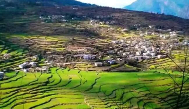 उत्तराखंड में भू- कानून को लेकर बड़े बदलाव, 11 जिलों में कृषि भूमि खरीदने पर लगी रोक