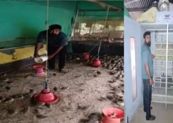जानिए दिनेश के बारे में, जो एक सफल पोल्ट्री उद्यमी है
