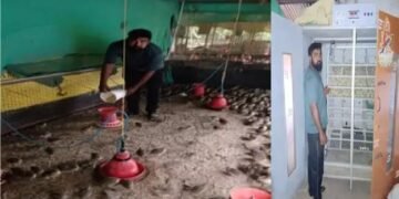 जानिए दिनेश के बारे में, जो एक सफल पोल्ट्री उद्यमी है