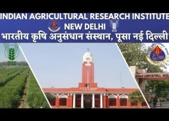 पूसा ने जारी की एडवाइजरी, इस हफ्ते ग्वार, मक्का और बाजरा की बुवाई करें किसान