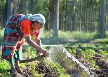 नेचुरल फार्मिंग की ओर बढ़ रहा हरियाणा का किसान, 24 हजार किसानों ने किया पोर्टल पर रजिस्ट्रेशन