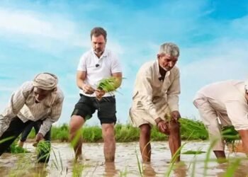 राहुल गांधी से मुलाकात करने आज पहुंचेगा संयुक्त किसान मोर्चा, पढ़ें पूरी खबर