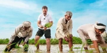 राहुल गांधी से मुलाकात करने आज पहुंचेगा संयुक्त किसान मोर्चा, पढ़ें पूरी खबर
