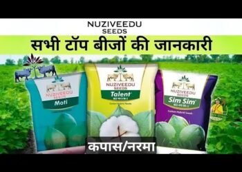 बाजार में आया Nuziveedu Seeds का नया बीज, जानें क्या है खूबियां
