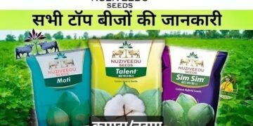 बाजार में आया Nuziveedu Seeds का नया बीज, जानें क्या है खूबियां