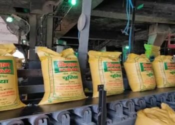 नए साल के मौके पर किसानों को तोहफा, फर्टिलाइजर पर मिलेगी सब्सिडी