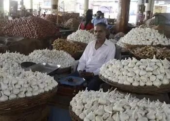 बाजार में 500 रुपये पहुंचा लहसुन का दाम, जानें क्या है वजह?