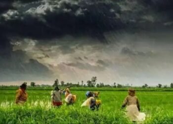 UP NEWS:  जल्द मिलेगी उमस भरी गर्मी से राहत! इस दिन प्रदेश में आएगी तेज बारिश