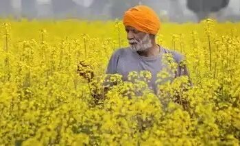 जानें क्या है UP AGREES योजना, 10 लाख किसानों को मिलेगा सीधा फायदा
