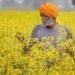 जानें क्या है UP AGREES योजना, 10 लाख किसानों को मिलेगा सीधा फायदा