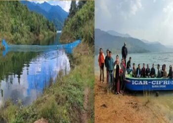 जनजातीय मछुआरों ने जलाशय में पेन कल्चर फिंगरलिंग तकनीक पालन का किया प्रदर्शन