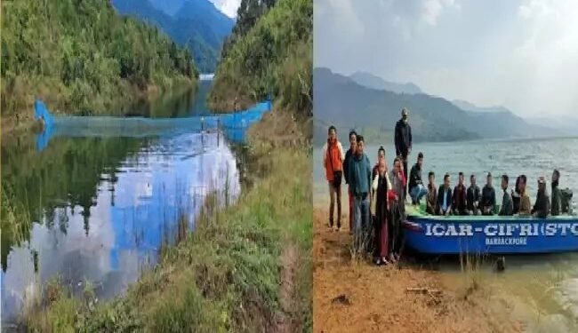 जनजातीय मछुआरों ने जलाशय में पेन कल्चर फिंगरलिंग तकनीक पालन का किया प्रदर्शन