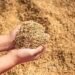 पहली छमाही में कृषि निर्यात स्थिर