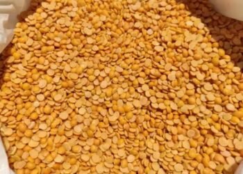 तूर उत्पादक किसानो के पंजीकरण, खरीद एवं भुगतान के लिए सरकार ने शुरू किया पोर्टल