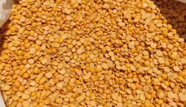 तूर उत्पादक किसानो के पंजीकरण, खरीद एवं भुगतान के लिए सरकार ने शुरू किया पोर्टल