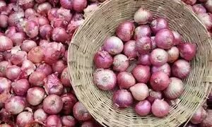 भारत ने संयुक्त अरब अमीरात, बांग्लादेश को 64,400 टन प्याज निर्यात की अनुमति दी