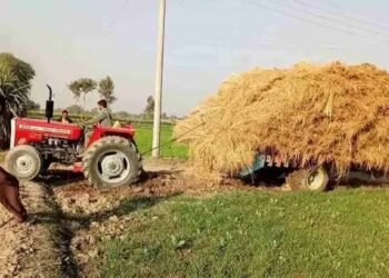 हरियाणा: पराली न जलाने वालों पर मेहरबान सरकार, मिलेंगे 1000 रुपये, और ये मशीन