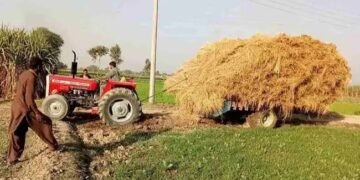 हरियाणा: पराली न जलाने वालों पर मेहरबान सरकार, मिलेंगे 1000 रुपये, और ये मशीन