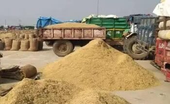 इस राज्य के धान और बाजरा किसानों के बैंक खातों में पहुंची उपज की राशि!