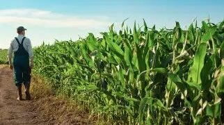 100 युवा किसानों को मिलेगी विदेशी खेती की ट्रेनिंग, जानें कैसे होगा आवेदन?