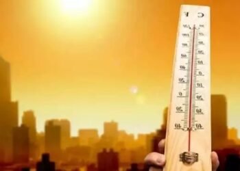 हीटवेव का दिखने लगा असर, इन शहरों में 41 के पार पहुंचा तापमान