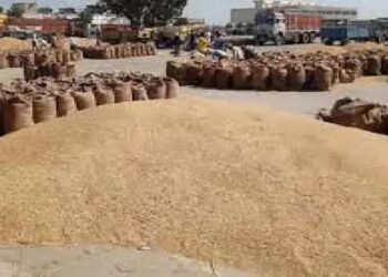गुस्से में क्यों आया हरियाणा का किसान! धान खरीद को लेकर कई जगह प्रदर्शन जारी