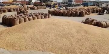 गुस्से में क्यों आया हरियाणा का किसान! धान खरीद को लेकर कई जगह प्रदर्शन जारी