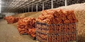 अब प्याज की बढ़ेगी सेल्फ लाइफ, इन 4 शहरों में बनने जा रहा स्टोरेज सिस्टम