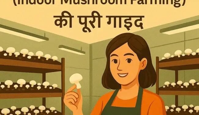 शुरुआती किसानों के लिए इंडोर मशरूम खेती (Indoor Mushroom Farming) की पूरी गाइड