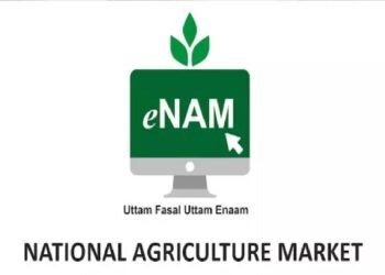 E-नाम से किसानों को मिला फायदा, कृषि मंत्री ने लोकसभा में दी जानकारी