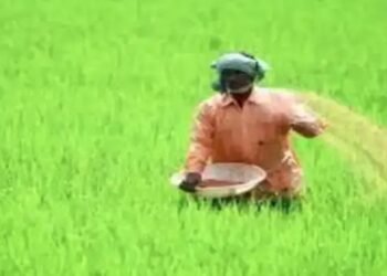 कैबिनेट ने दी ₹24,000 करोड़ की कृषि योजना को मंजूरी, ग्रीन एनर्जी में भी होगा बड़ा निवेश