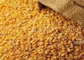 फुल प्रोफिट साबित होती है इस दाल की खेती, 5 साल में होगा 10 गुना मुनाफा