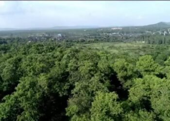 सतत हरित पहल के माध्यम से कोयला क्षेत्र परिदृश्य में परिवर्तन लाने का प्रयास