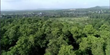 सतत हरित पहल के माध्यम से कोयला क्षेत्र परिदृश्य में परिवर्तन लाने का प्रयास