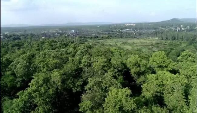 सतत हरित पहल के माध्यम से कोयला क्षेत्र परिदृश्य में परिवर्तन लाने का प्रयास