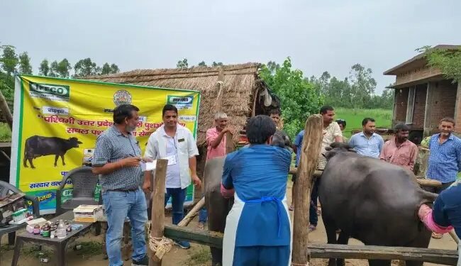 चांदपुरा गाँव में हुआ पशु चिकित्सा एवं बाँझपन निवारण शिविर, 280 से अधिक पशुओं की हुई जाँच