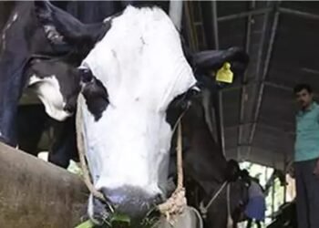 कैबिनेट ने पशुपालन अवसंरचना विकास कोष के विस्तार को मंजूरी दी