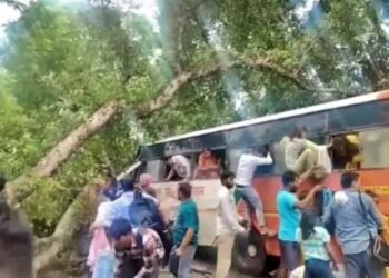 बाराबंकी में भीषण हादसा: मूसलाधार बारिश में बस पर गिरा पेड़, 5 की मौत, कई घायल
