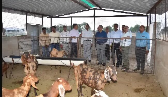 केवीके बांसूर पहुँचे डॉ. डी.के. यादव, किसानों से की बात