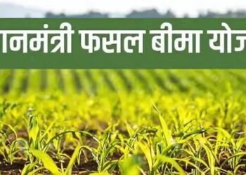 इन 6 राज्यों में बढ़ी फसल बीमा योजना की तारीख, किसान इन तरीकों से कराएं रजिस्ट्रेशन