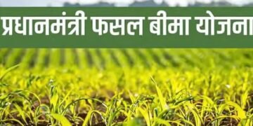 इन 6 राज्यों में बढ़ी फसल बीमा योजना की तारीख, किसान इन तरीकों से कराएं रजिस्ट्रेशन