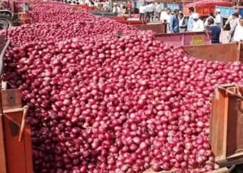 48 घंटों में प्याज के किसानों को इस नए तरीके से भुगतान करेगी सरकार, क्या है प्लान