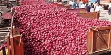 48 घंटों में प्याज के किसानों को इस नए तरीके से भुगतान करेगी सरकार, क्या है प्लान