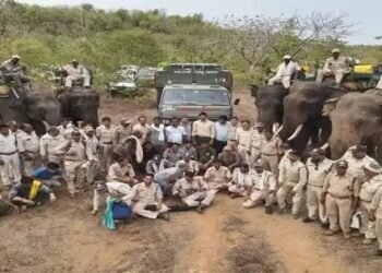इस टाइगर को पकड़ने में लगे 5 हाथी 150 जवान, 4महीने से फैली थी 36 गांवों में दहशत