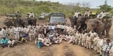 इस टाइगर को पकड़ने में लगे 5 हाथी 150 जवान, 4महीने से फैली थी 36 गांवों में दहशत